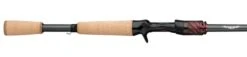 Daiwa Steez AGS Bass Casting Rods -Fishing Equipment Store steez cast 1