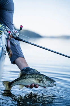 Temple Fork Outfitters Tactical Elite Bass Baitcasting Rods -Fishing Equipment Store tfo tactical elite bass bottom banner lifestyle 1 1