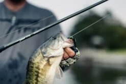 Temple Fork Outfitters Tactical Elite Bass Swimbait Casting Rods 20 Temple Fork Outfitters Tactical Elite Bass Swimbait Casting Rods -Fishing Equipment Store tfo tactical elite bass bottom banner lifestyle 5 1 73339f39 bce7 4dcd 992e bb5a21a97248