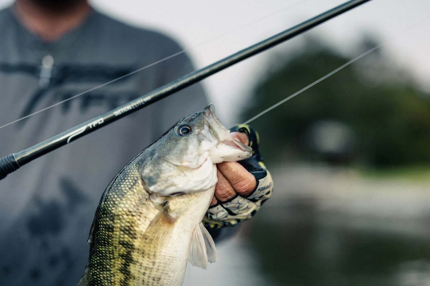 Temple Fork Outfitters Tactical Elite Bass Spinning Rods 6 Temple Fork Outfitters Tactical Elite Bass Spinning Rods - Image 4