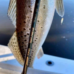 Temple Fork Outfitters Trout-Panfish Spinning Rods 26 Temple Fork Outfitters Trout-Panfish Spinning Rods -Fishing Equipment Store tfo trout panfish spots